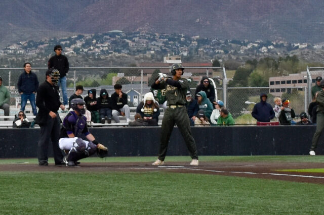 Falcon Baseball