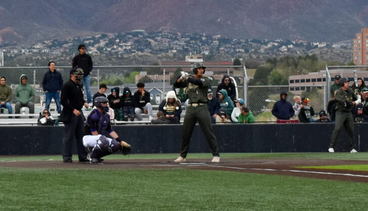 Falcon Baseball