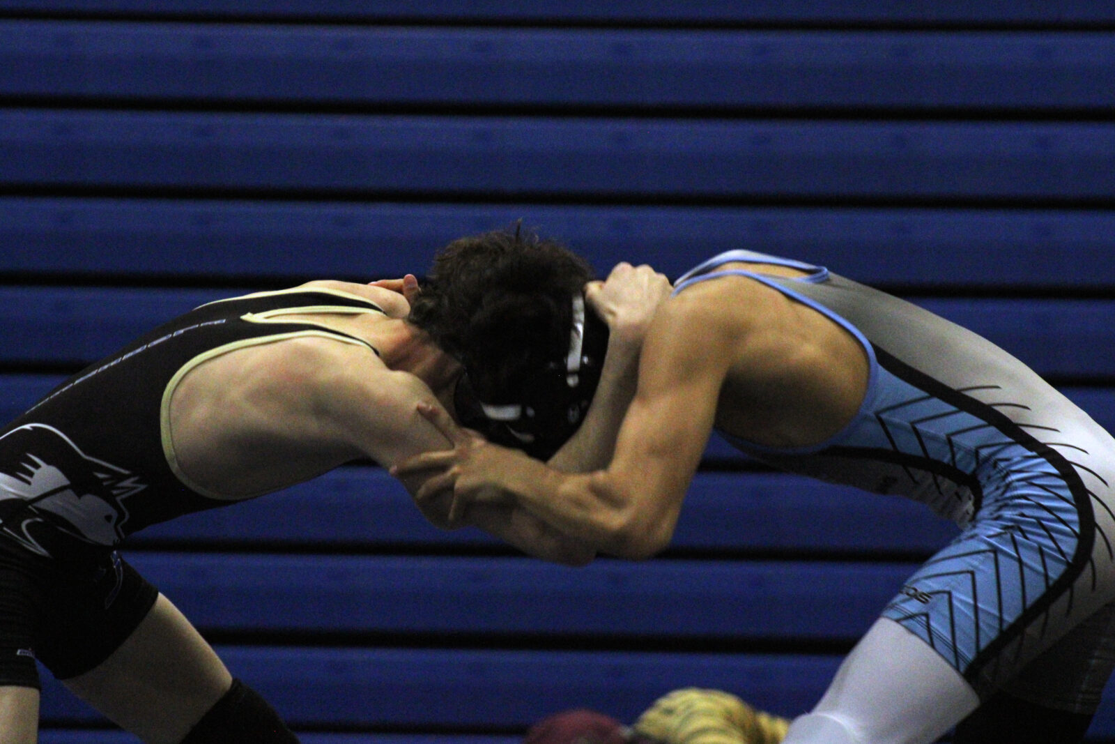 CHSAA releases state wrestling brackets