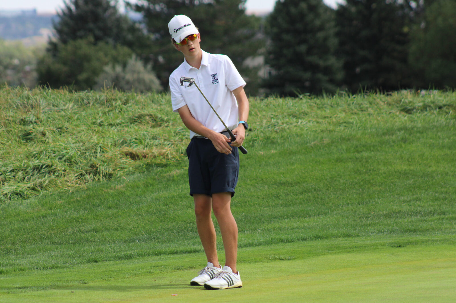 Boys golf Evergreen's Long sinks clutch putt to claim regional title