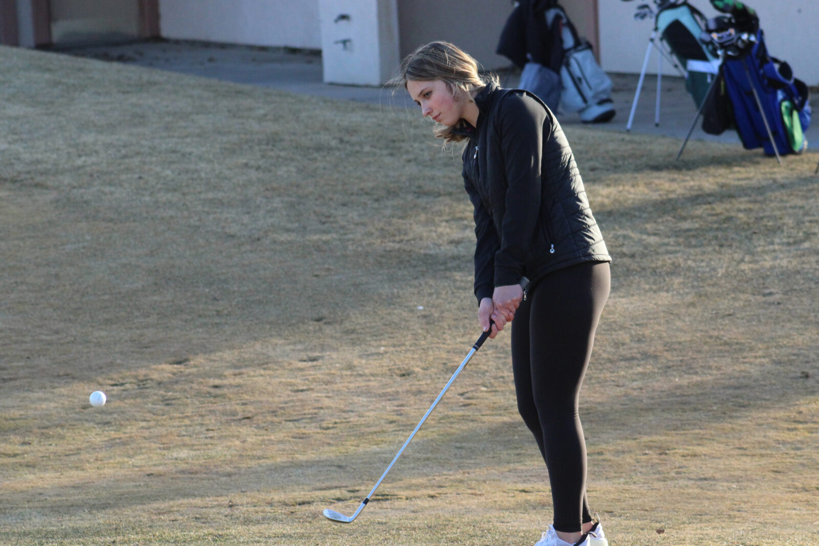 It's wild!\, image size:1600x1067